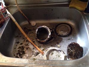 佐倉市W様宅台所排水口つまり除去前画像